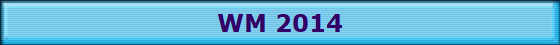 WM 2014